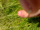 heerlijk ff de spanning eruit,, film 00:00:00, 26 reacties, 50 stemmen