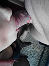 heerlijk plagen, foto 960x1280, 4 reacties, 18 stemmen