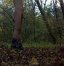 herfst, foto 964x976, 5 reacties, 6 stemmen