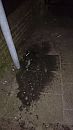 het resultaat, foto 2160x3840, 0 reacties, 1 stemmen