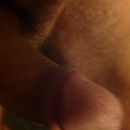 hmmm, foto 1936x1936, 0 reacties, 2 stemmen