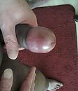 hmmmmmm, foto 640x735, 1 reacties, 4 stemmen