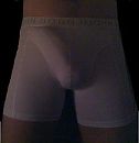 in boxer, foto 466x479, 0 reacties, 1 stemmen