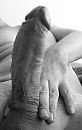 in het handje, foto 294x464, 14 reacties, 38 stemmen