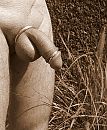 in sepia oud kleur, foto 1909x2307, 0 reacties, 4 stemmen
