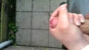 komen, film 00:00:14, 10 reacties, 36 stemmen