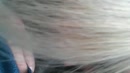 lekker laten pijpen, film 00:00:00, 7 reacties, 49 stemmen