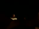 lekker neuken, film 00:00:00, 1 reacties, 14 stemmen
