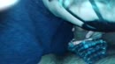 lekker pijpen, film 00:00:03, 89 reacties, 264 stemmen