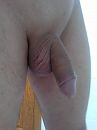 lekker fris geschoren, foto 2448x3264, 9 reacties, 20 stemmen