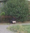 lekker in de tuin aan het werk, foto 719x787, 1 reacties, 23 stemmen