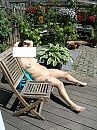 lekker in de tuin, foto 768x1024, 3 reacties, 24 stemmen