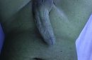 leuk??, foto 4000x2666, 2 reacties, 2 stemmen