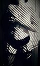 maar even een oudje, foto 279x448, 5 reacties, 22 stemmen