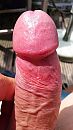 triodate, foto 2250x4000, 3 reacties, 2 stemmen