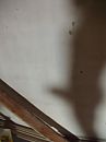me, foto 1944x2592, 5 reacties, 11 stemmen