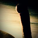 me, foto 960x960, 1 reacties, 3 stemmen