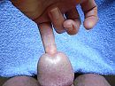 mm, foto 2048x1536, 3 reacties, 8 stemmen