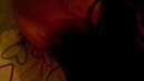 mmm zo geil...., film 00:00:01, 5 reacties, 27 stemmen