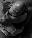 mmm ..., foto 683x786, 1 reacties, 8 stemmen