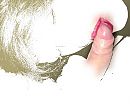 mmm zo lekker, foto 1366x1188, 1 reacties, 12 stemmen