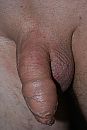 mmm, foto 486x724, 4 reacties, 9 stemmen