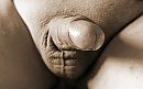 mmm....., foto 2528x1584, 1 reacties, 11 stemmen