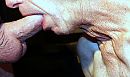 mmmmmmmmmmmmmmm, foto 2521x1505, 0 reacties, 5 stemmen