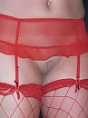 mooi rood..., foto 2751x3667, 13 reacties, 67 stemmen