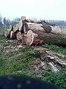 mooie rustplek, foto 2448x3264, 0 reacties, 1 stemmen