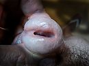 mouth, foto 4000x3000, 2 reacties, 8 stemmen