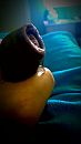 nat, foto 1520x2688, 2 reacties, 3 stemmen