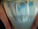 natte broek, foto 2304x1728, 2 reacties, 5 stemmen