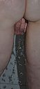 natte poes., foto 1709x3816, 1 reacties, 8 stemmen