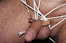 needle play, foto 1000x667, 0 reacties, 4 stemmen