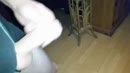 net ff, film 00:00:01, 3 reacties, 7 stemmen