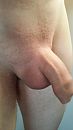 net geschoren, commentaar?, foto 2250x4000, 12 reacties, 25 stemmen