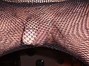 net, foto 2560x1920, 4 reacties, 27 stemmen