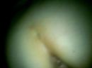 neuken, foto 512x384, 0 reacties, 2 stemmen