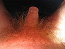oerwoud, foto 2816x2112, 16 reacties, 42 stemmen