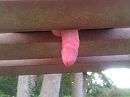 omdat het kan, foto 2592x1944, 3 reacties, 8 stemmen
