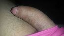 ontsnapt, foto 820x462, 8 reacties, 23 stemmen