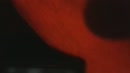 op vraag :), film 00:00:27, 1 reacties, 3 stemmen