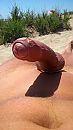 op het strand, foto 1746x3104, 8 reacties, 24 stemmen
