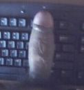 op t werk, foto 150x159, 1 reacties, 9 stemmen
