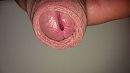 open, foto 3264x1840, 1 reacties, 5 stemmen