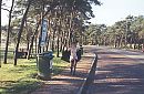 parking, foto 1726x1130, 3 reacties, 43 stemmen