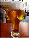 perfecte pint, foto 577x762, 0 reacties, 11 stemmen