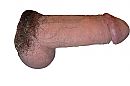 pik, foto 2505x1674, 0 reacties, 1 stemmen