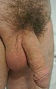 pik, foto 2006x3121, 0 reacties, 2 stemmen